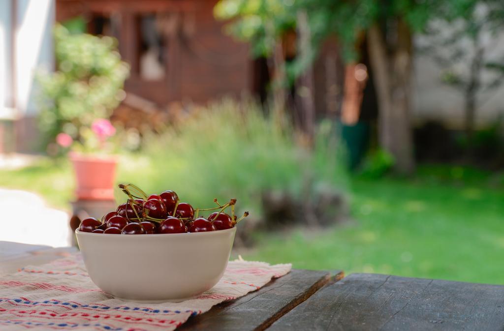 Pensiunea La Despani Braşov Esterno foto